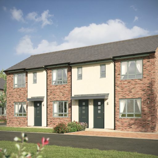 Plot 12